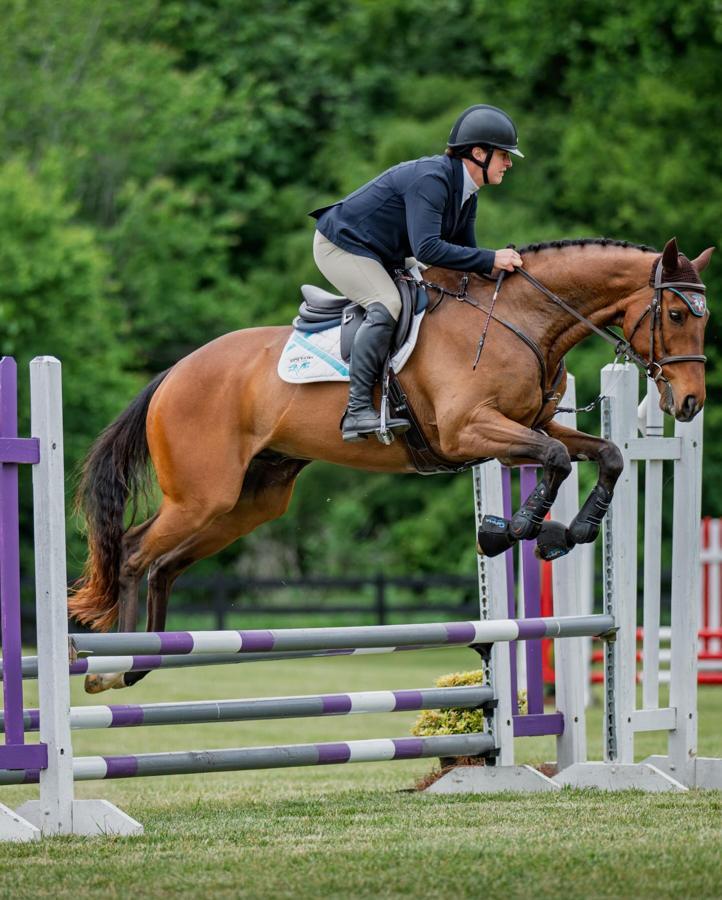 Navy Armed Guard clearing a jump in an indoor arena