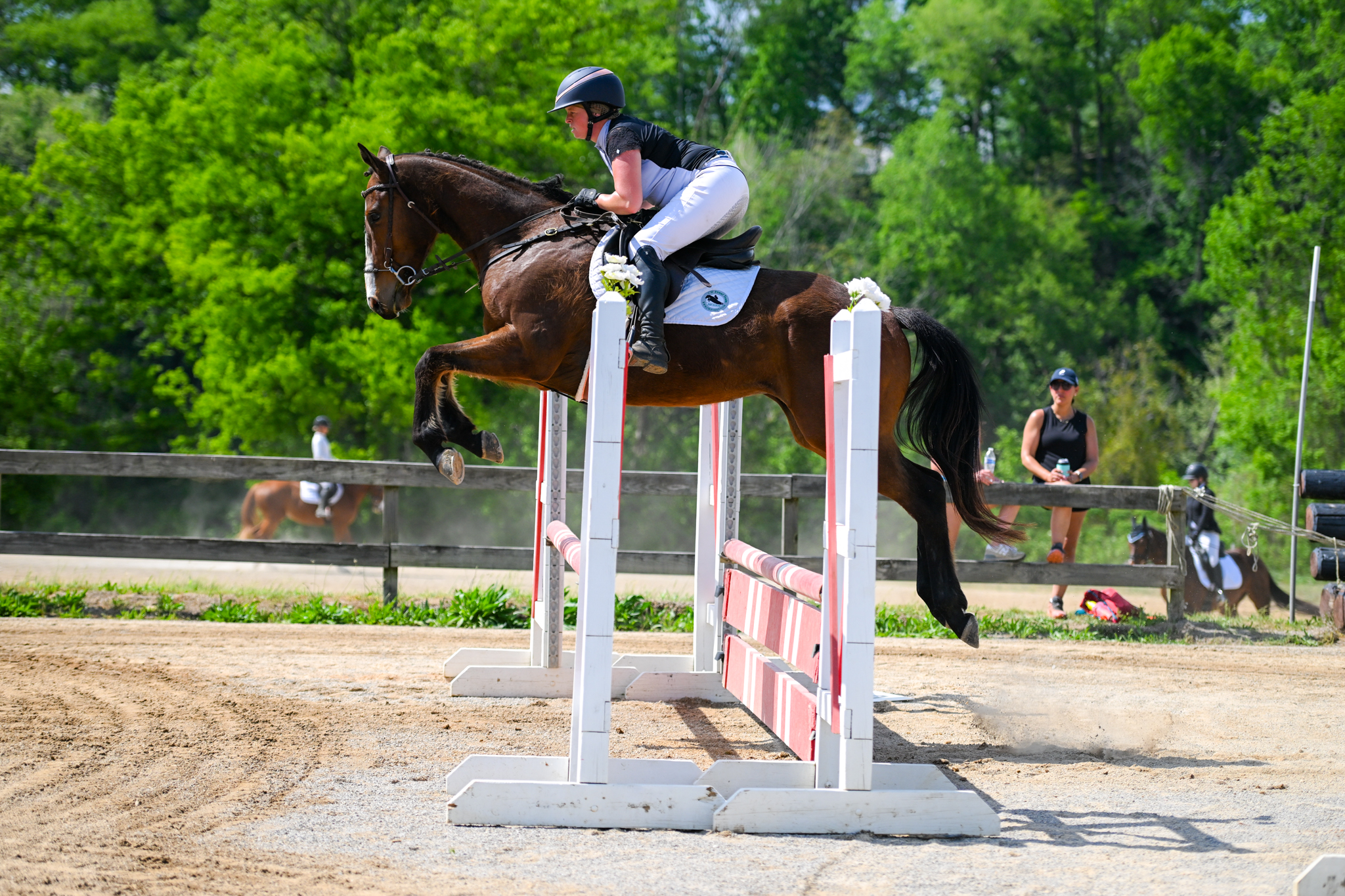 Prime Time Porta clearing a jump outdoors